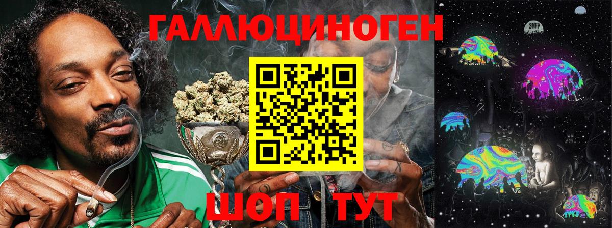 Галлюциногенные грибы Psilocybe Белебей